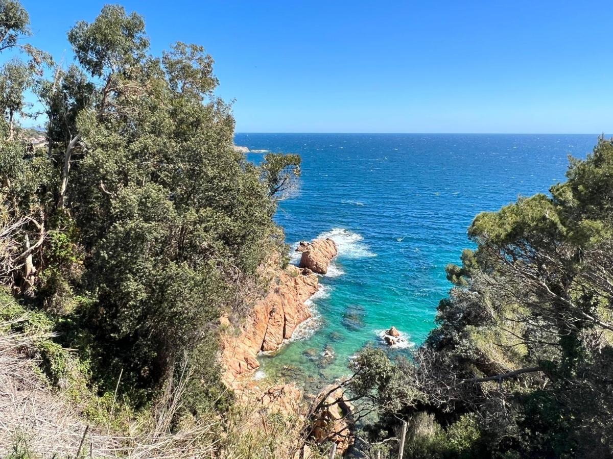 Family B&B Homefromhomees Sant Feliu de Guíxols Eksteriør billede