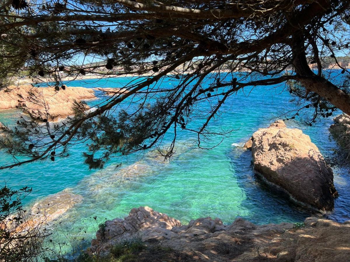 Family B&B Homefromhomees Sant Feliu de Guíxols Eksteriør billede