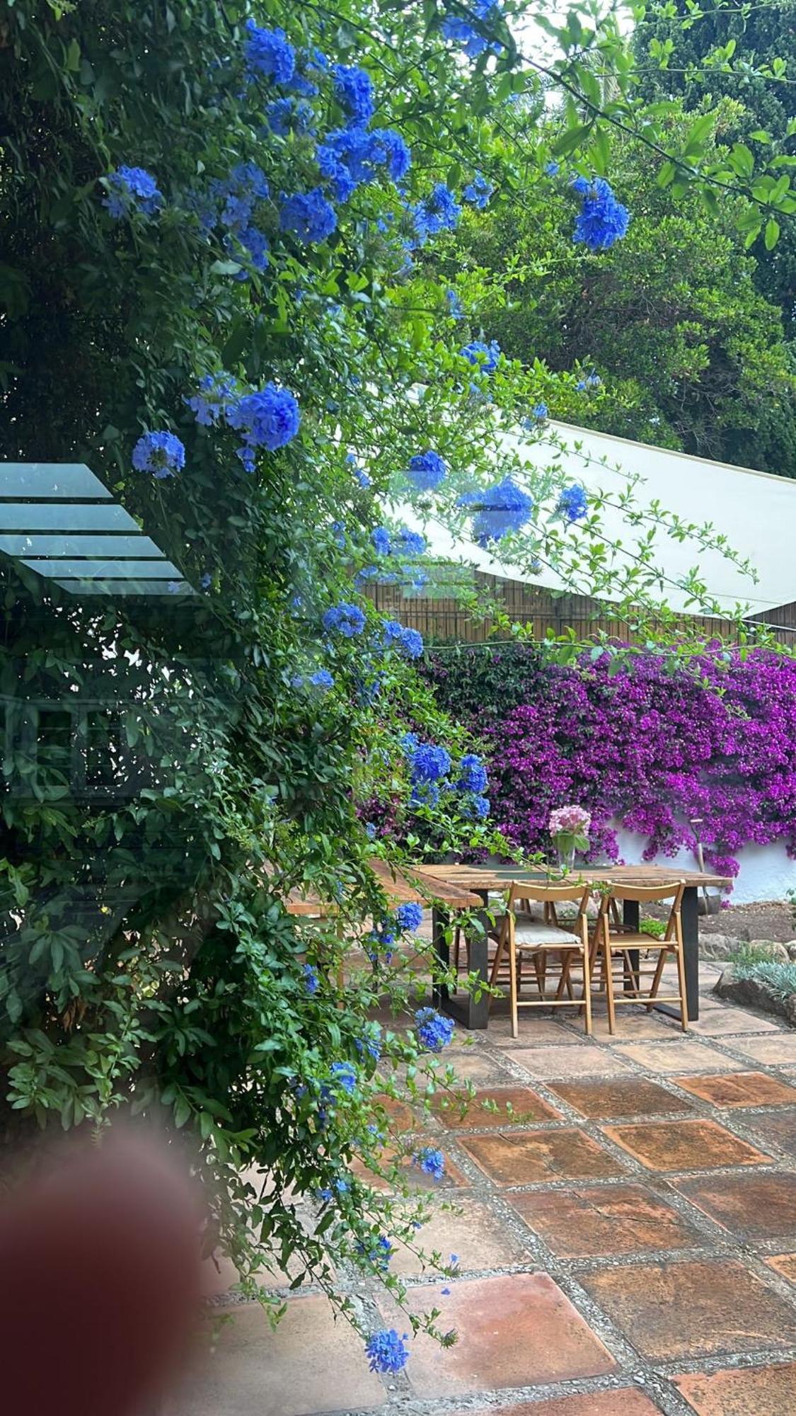 Family B&B Homefromhomees Sant Feliu de Guíxols Eksteriør billede